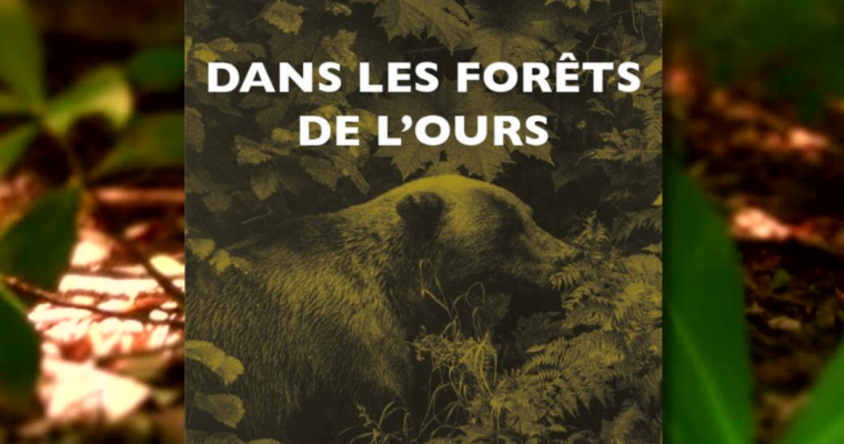 Dans les forêts de l’ours – Rémi Huot