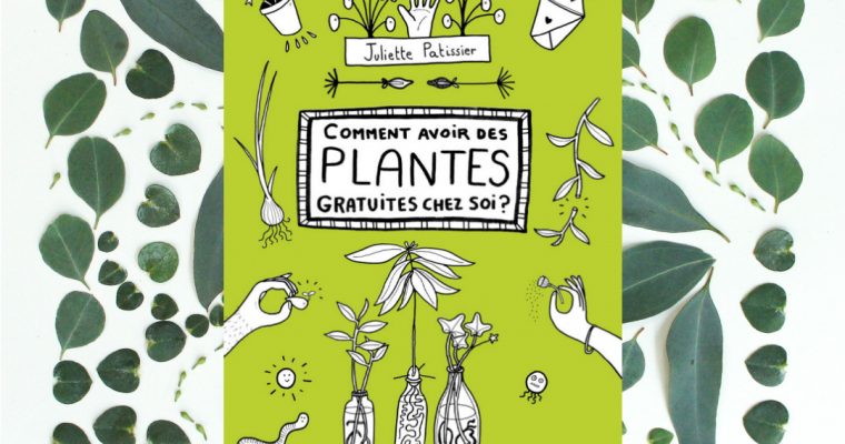 Comment avoir des plantes gratuites chez soi ? – Juliette Patissier