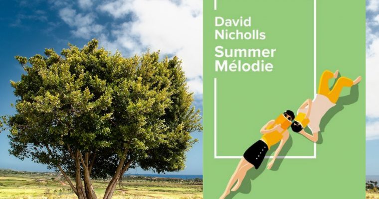 Summer Melodie – David Nicholls